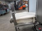 Safeline Mettler Toledo Metal Detector With Conveyor